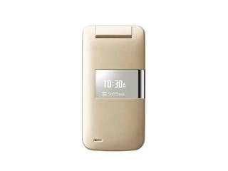SHARP 【買取不可】 SoftBank NEW PANTONE 830SH ゴールド (3G携帯)