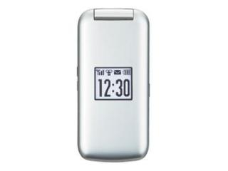 ZTE 【買取不可】 SoftBank かんたん携帯 840Z シルバー (3G携帯)