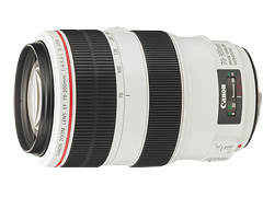 Canon EF 70-300mm F4-5.6 L IS USM (Canon EFマウント)