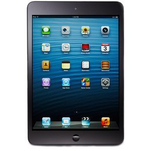 Apple SoftBank iPad mini（第1世代） Cellular 16GB ブラック&スレート MD540J/A