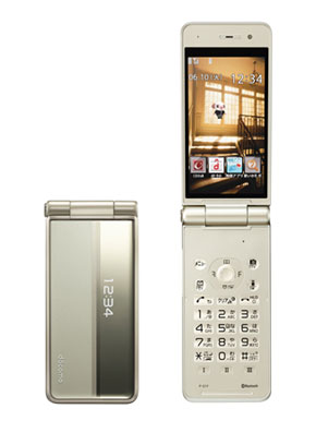 Panasonic docomo FOMA P-01F シャンパンゴールド (3G携帯)