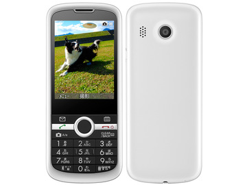 ZTE 【買取不可】 SoftBank 301Z ホワイト (3G携帯)