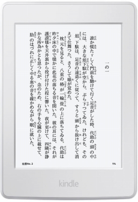 美品Kindle Paperwhiteホワイト 第7世代 32GB wifi