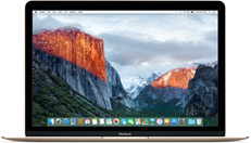 Apple MacBook 12インチ 256GB ゴールド カスタマイズモデル  (Early 2016)