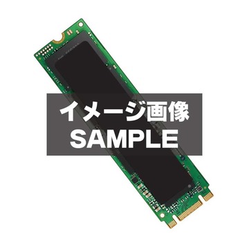 TOSHIBA THNSN5256GPU7 256GB/M.2 2280(PCIe3.0 NVMe)