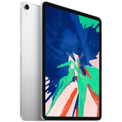 iPad pro 11 第1世代 Wi-Fiモデル　容量:1TB メモリ:6GB