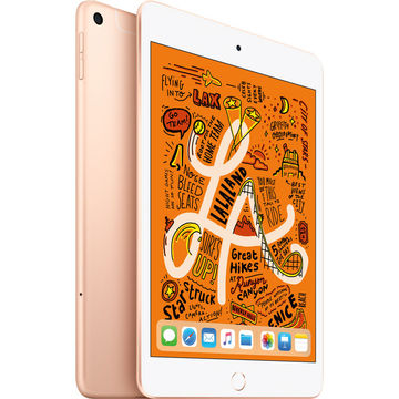 Apple au 【SIMロック解除済み】 iPad mini（第5世代/2019） Cellular 64GB ゴールド MUX72J/A